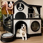A charming dog with a striking black patch over one eye lounges comfortably on a carpeted floor, looking up with curious eyes. The warm indoor lighting adds a cozy vibe, and a hand wearing a Nike wristband rests gently nearby.