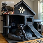 A relaxed dog with a shiny dark coat lounges comfortably on a colorful woven rug in a cozy indoor corner, looking slightly sleepy but content.