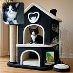 A curious black and white kitten with bright blue eyes looks off to the side, standing on a textured surface with a wooden background. The image is slightly grainy but captures the kitten's innocent and inquisitive expression.