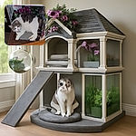 A chubby, relaxed cat with gray and white fur lounges comfortably on a cushioned wooden chair, surrounded by vibrant purple flowers and a colorful backdrop, looking slightly sleepy but content.