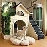 A white dog with black spots stands on a tiled floor next to a wooden chair, looking upwards with a curious expression. The image is a bit tilted, giving a quirky perspective to the scene.