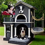 A curious black and white puppy lies on a red blanket in a lush green backyard, sniffing or chewing on a stick with trees and a wooden fence in the background.