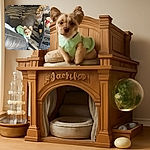 A tiny dog wearing a light green shirt perched adorably on the armrest of a gray couch, looking up with curious eyes. The cozy living room features a zebra-patterned rug, a decorated Christmas tree with warm lights, and a glass coffee table holding a festive Starbucks cup and various small items.