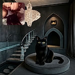 A close-up selfie of a person lying down next to a black cat on a mattress, both looking towards the camera with a cozy indoor setting.