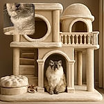 A regal fluffy cat with piercing blue eyes stares intently, its soft fur blending into the cozy cream blanket beneath it, creating a warm and majestic portrait.