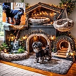 A scruffy little black dog in a tiny sweater poses like it owns the hardwood floor — shirt sporting chunky white letters, tail held high, and a perpetually bemused face peeking toward the camera with fuzzy ears and mop-like fur.