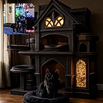 A majestic black cat with a white patch on its chest sits attentively on a bed in a cozy living room filled with various decorations, including a fish tank glowing with blue light and framed photos on a table, creating a warm and homey atmosphere.