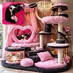 A black and white cat is curled up adorably on a bright pink blanket, striking a cozy pose with paws tucked in and eyes gazing curiously at the camera. The vibrant pink background contrasts beautifully with the cat's fur, making it look like the star of a comfy, colorful nap session.