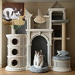 A fluffy white and gray cat is comfortably curled up on a tiled floor next to a brown mat, looking directly at the camera with curious eyes. The setting is casual and homey with a warm, earthy color palette.