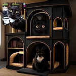 A close-up of a curious black and white cat with striking yellow-green eyes, sitting comfortably indoors with a cozy background of books and furniture slightly out of focus.