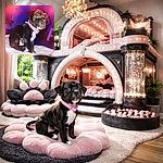 A tiny black puppy with a pink checkered collar is perched on a towel, giving the camera big, soulful eyes while magenta lens flares add an accidental glamorous filter. The living-room background is softly blurred, making this little furball look like the star of its own dramatic portrait — part diva, part 'who stole my squeaky toy?'.