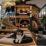 A fluffy black, white, and tan dog is sprawled across a wicker outdoor seat, looking so sleepy and comfortable that it appears to have personally claimed the entire patio as its kingdom. Warm sunset light and a giant shadow add a dramatic movie-poster effect.