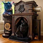A majestic black cat with golden eyes sits proudly, gazing into the distance with a serene expression. The background is softly blurred, highlighting the cat's luxurious fur. The time and date overlay on the image adds a modern touch, making it look like a stylish phone lock screen.