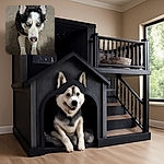 A close-up photo of a striking black and white dog with heterochromia, one blue eye and one brown eye, lying on a carpet and looking intently at the camera with a curious expression.