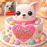 A blurry, softly lit image of a small dog, possibly a Chihuahua, with large eyes gazing forward. The photo has a large, colorful text overlay in bright yellow and red that covers the lower part of the dog, including dates and a name, making it look like a memorial or announcement.
