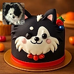 A fluffy black and white Pomeranian dog looks up with curious eyes while sitting on a person's lap, surrounded by cozy indoor textures and casual attire.