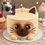 A fluffy color-point cat is being cuddled like a tiny, slightly judgmental celebrity, staring into the camera while its human co-star appears cropped above. The cozy close-up has soft lighting, a warm indoor feel, and enough fur to qualify as its own blanket.