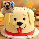 A close-up of a happy golden retriever with its tongue playfully hanging out, looking like it's ready for a treat or a game, with a cozy indoor background featuring a TV and furniture.