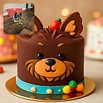 A tiny, fluffy dog wearing a cozy sweater lounges on a wooden floor with a bright pink bucket in the background, looking adorably curious and ready for playtime.