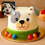 A close-up photo of a white dog with black patches around one eye and ears flopped down, wearing a camouflage collar, looking calmly at the camera with a slightly blurred background of indoor furniture.