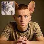 A charming French Bulldog puppy with striking blue eyes and large ears lounges comfortably on a soft, neutral-colored surface, looking curiously at the camera with an adorable, slightly serious expression.