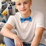 A fluffy white puppy sporting a blue paw-print bow tie sits proudly on a textured gray blanket next to a bright yellow plush duck toy, all set in a cozy living room with soft natural light filtering through window blinds.