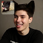 A fluffy black and white dog with perked ears and tongue out looks happily curious indoors, with a cozy home background featuring a pet bed and storage organizer.