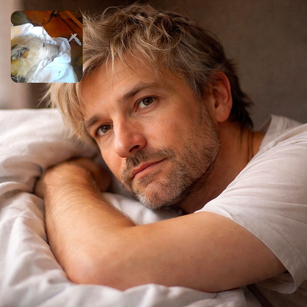 A cozy dog is resting its head on a white blanket, looking peaceful but a bit blurry and low-res, surrounded by warm wooden furniture.