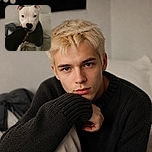 A sweet white dog sits proudly on a bed while gently holding a person’s sleeve in its mouth, looking like it has just been promoted to chief of household security. The cozy bedroom background and soft lighting give the photo an intimate, candid feel.
