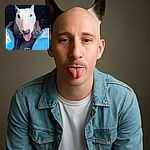 A happy white bull terrier with a black patch over one eye sticks out its tongue between the legs of a person wearing ripped blue jeans, with a cute white heart doodle overlay at the bottom center of the photo.