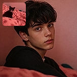 A black-and-white cat sits proudly on a pink sunburst duvet, staring into the camera like a tiny tuxedo detective who has just discovered the suspicious rectangle at the foot of the bed.