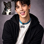 A joyful black-and-white border-collie is posing like a furry supermodel, tongue out and ears perky, wearing a blue collar with a bone-shaped tag against a soft studio backdrop.