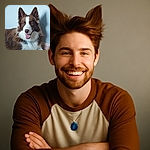 A happy brown and white dog with perky ears and an open mouth sits indoors against a pale blue wall, looking like it's ready to play or pose for a portrait. The dog's fur is fluffy and well-groomed, and there's a power outlet visible on the wall behind it.