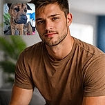 A close-up photo of a large, brown dog looking slightly downward with a calm expression, standing on a couch covered with a red plaid blanket. The background features a bright blue wall, some household items, and a green potted plant, giving a cozy indoor vibe.