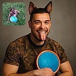 A happy brindle dog lying in lush green grass with its tongue out, holding a bright blue and orange frisbee, ready for a fun game of fetch.