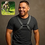 A handsome dog wearing a harness stands proudly on a sunlit patch of grass, tongue out and ears perked, with lush green foliage in the background. The dog looks alert and happy, enjoying a bright day outdoors.