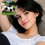 A playful black and white puppy lies on its back in lush green grass under a bright blue sky, looking curiously at the camera with one ear flopped over, capturing a joyful moment of puppy innocence and outdoor fun.