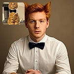 A dapper orange tabby cat sits proudly on a cat tree, sporting a classy black bow tie collar, looking like it's ready for a fancy event or a feline gala.