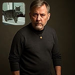 A slightly blurry photo of a gray tabby cat standing on a windowsill in front of closed blinds, looking curiously at the camera with a collar around its neck.