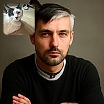 A curious black and white cat lounges on a beige carpet, gazing directly at the camera with a calm and inquisitive expression. In the background, a cozy slipper lies slightly out of focus, adding a homely touch to the scene.