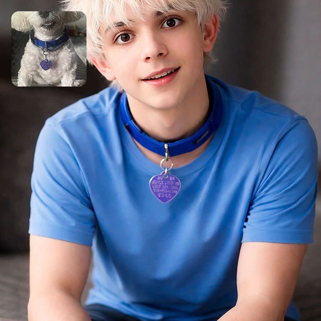 A fluffy white dog with a blue collar and a heart-shaped tag looks curiously at the camera while sitting on a textured blanket, with a cozy indoor background slightly out of focus.