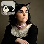 A fluffy black and white cat with a pink collar looks up wide-eyed, perched comfortably on a soft gray cat bed against a plain wall, capturing a moment of curious surprise.