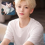 A startled fluffy white cat stares straight at the camera like it just heard the treat bag rustle, while a curious little dog watches from the top-right corner — cat lounged on a pet bed, hardwood floor background, pure pet drama.