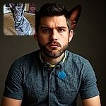 A sharply focused dog with large, attentive ears and a curious gaze sits indoors on a carpet, wearing a collar with a blue tag. The background shows a TV, a small table, and a dresser, giving a cozy home vibe.