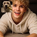 A fluffy, curly-haired dog with big, shiny eyes is clutching a yellow chew stick in its mouth, looking straight at the camera with an adorable and slightly mischievous expression, set against a cozy indoor background.