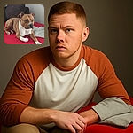 A calm and attentive brown and white dog lounges comfortably on a bright red blanket with a gray towel nearby, set against a neutral background with a dark cushion adding depth. The dog's focused gaze and relaxed posture make it a cozy and heartwarming scene.
