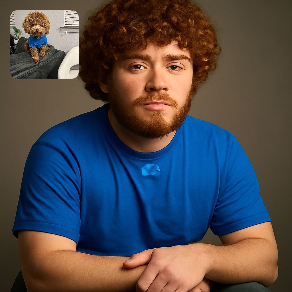 A fluffy brown dog wearing a cozy blue sweater sits perched on the back of a dark gray couch, looking adorably serious. The background shows a neutral wall with a window and blinds, alongside a white modern chair and a green plant adding a touch of life.