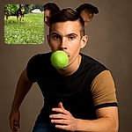 A lively dog dashes through a lush green lawn with a bright yellow tennis ball clenched proudly in its mouth, ears perked up like tiny radar dishes, while a blurred white car and leafy bushes form a tranquil suburban backdrop.