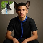 A cute black French Bulldog puppy with large ears sits attentively on a sidewalk next to green grass, wearing a bright blue leash and collar with a bone-shaped tag. The photo is focused on the puppy's face, capturing its curious and slightly serious expression.