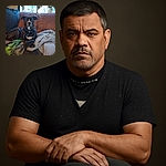 A dignified black and white dog lounges on a cozy brown couch surrounded by blankets and pillows, looking poised and calm as if it owns the place.